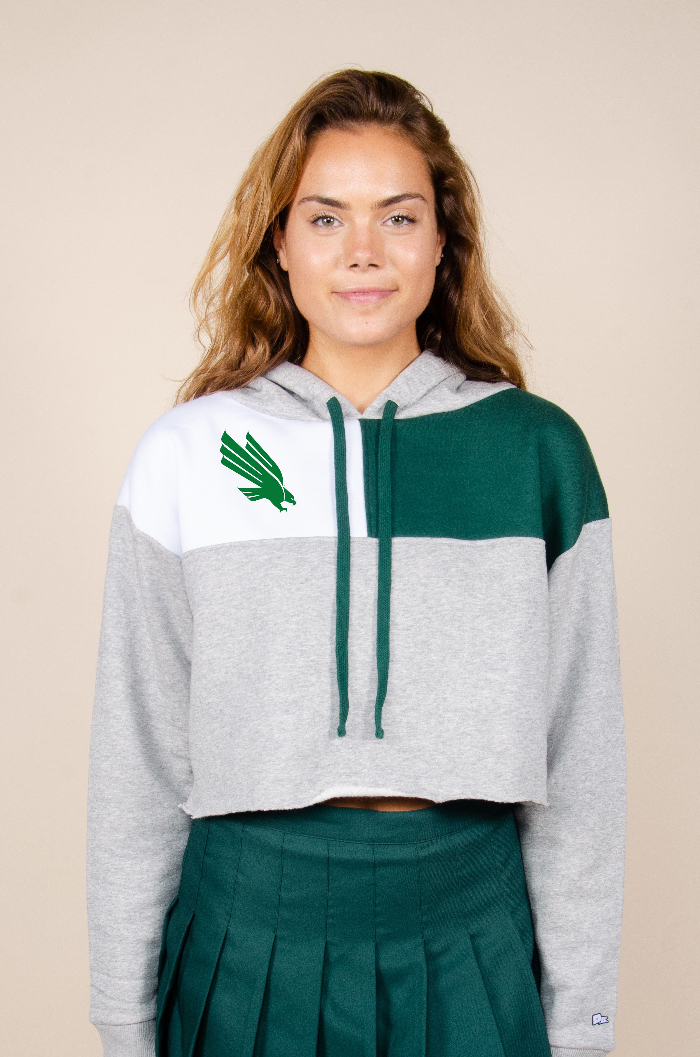 UNT Color-Block Hoodie