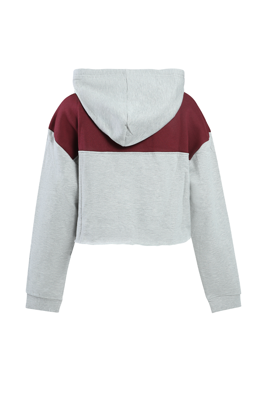 University of Minnesota Color Block Hoodie