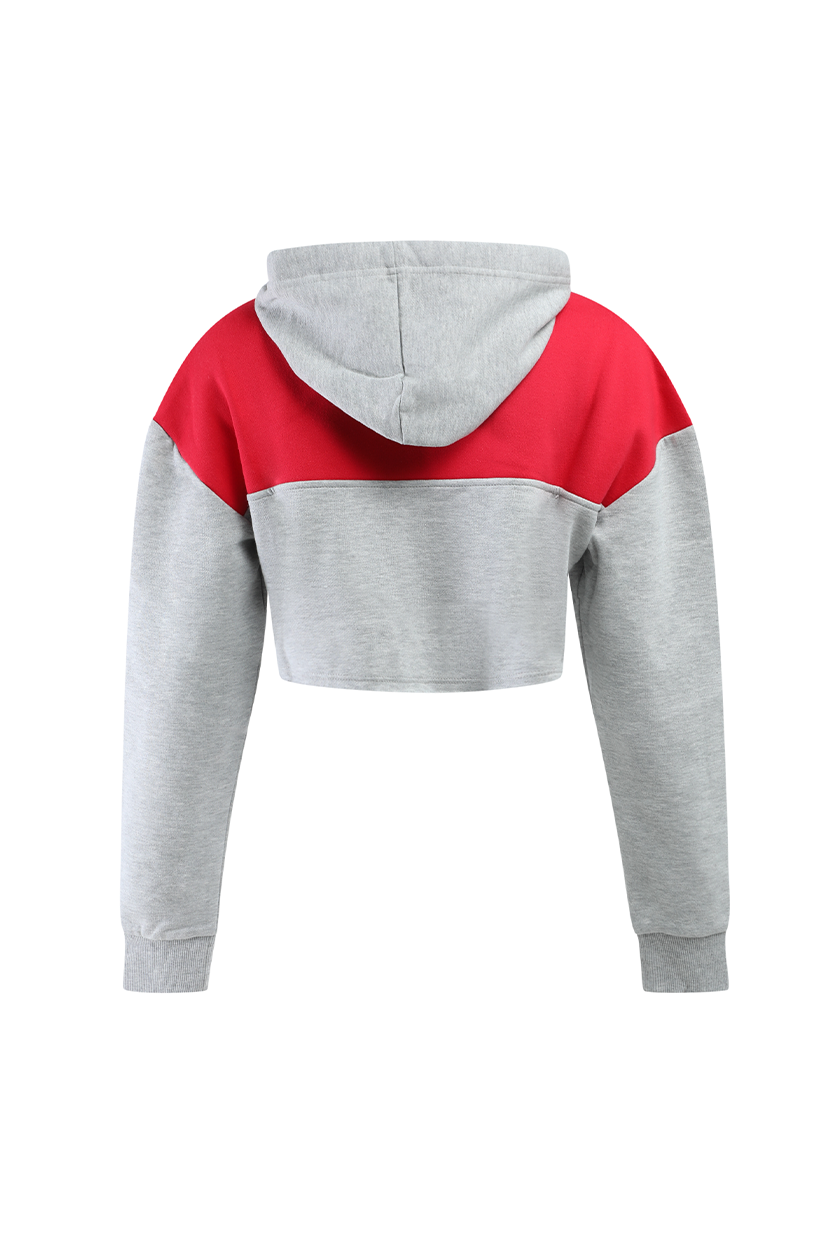 Northeastern University Color Block Hoodie