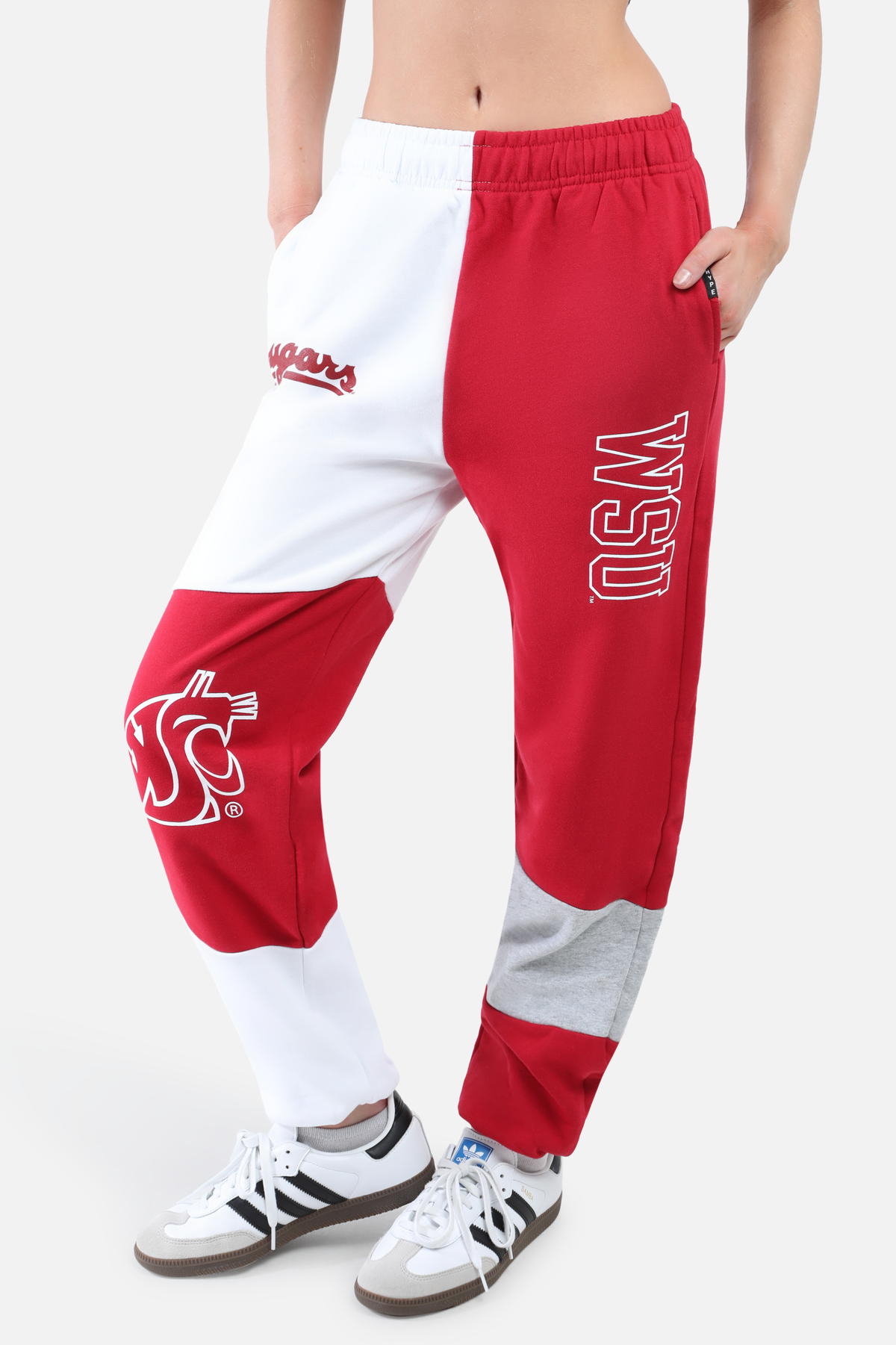 Washington State University Patched Pants