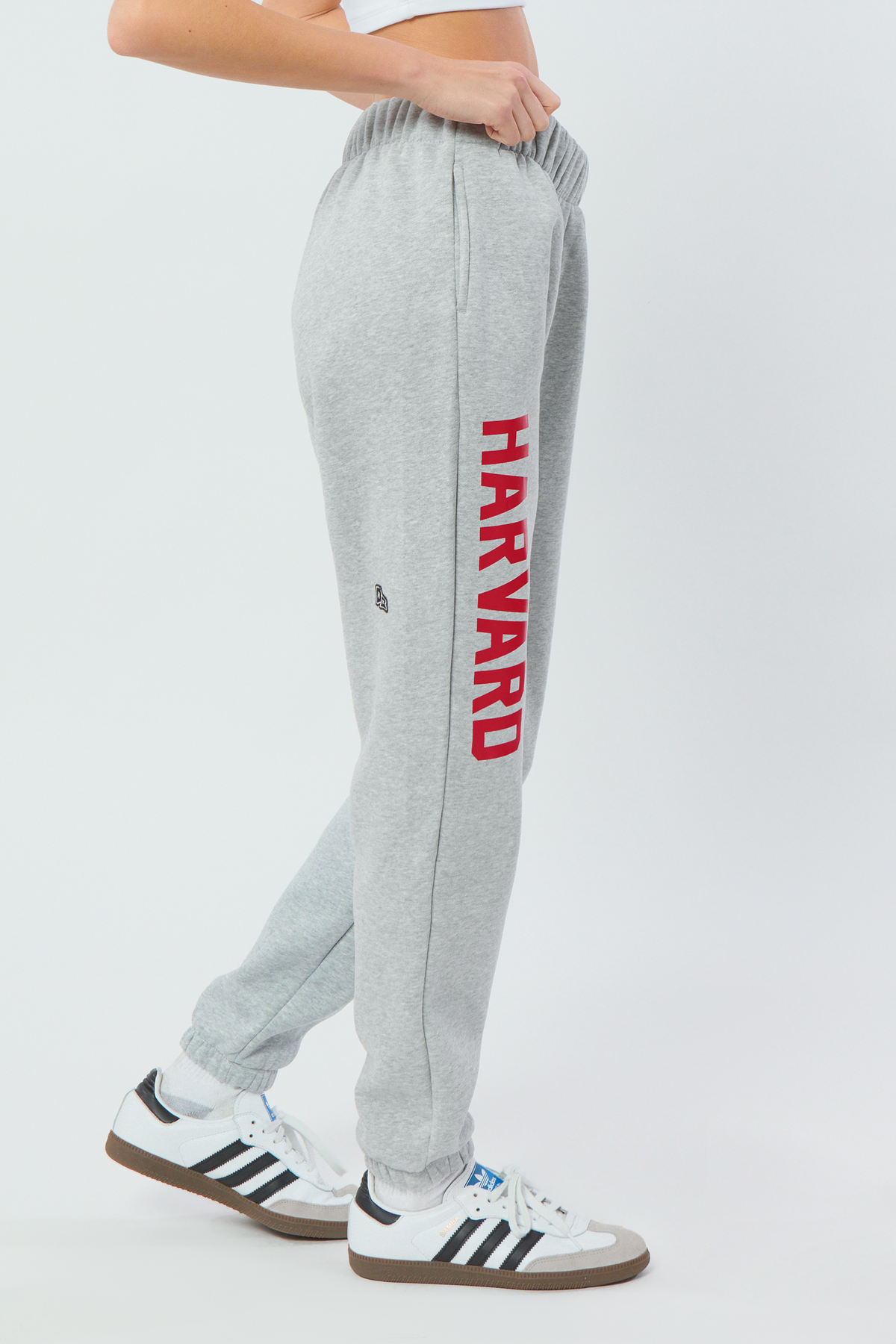 Harvard Basic Sweats