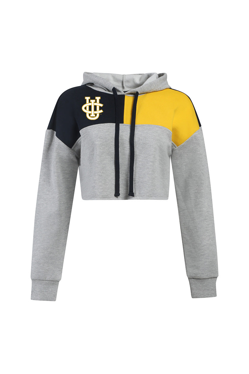 UC Irvine Color Block Hoodie