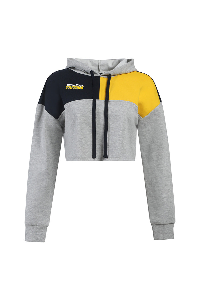 UCSD Color Block Hoodie