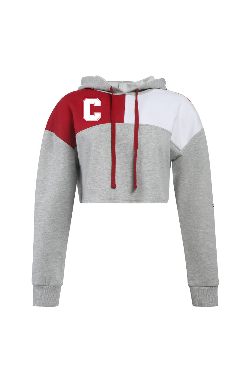 Cornell Color Block Hoodie