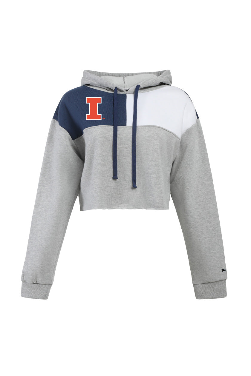 University of Illinois Color Block Hoodie