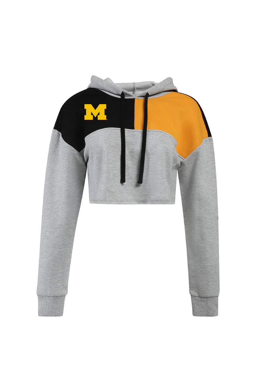 University of Michigan Color Block Hoodie