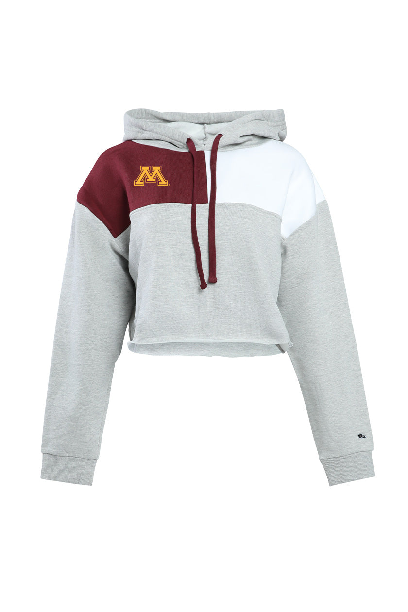 University of Minnesota Color Block Hoodie