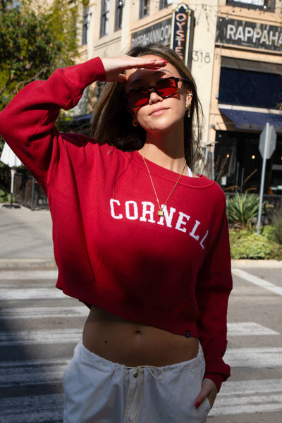 Cornell sweater hot sale