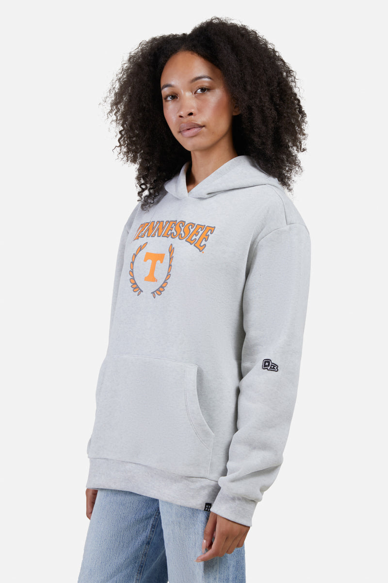 Stanford University Reverse Weave Hooded Sweatshirt | Champion Products | Silver Grey | 2XLarge