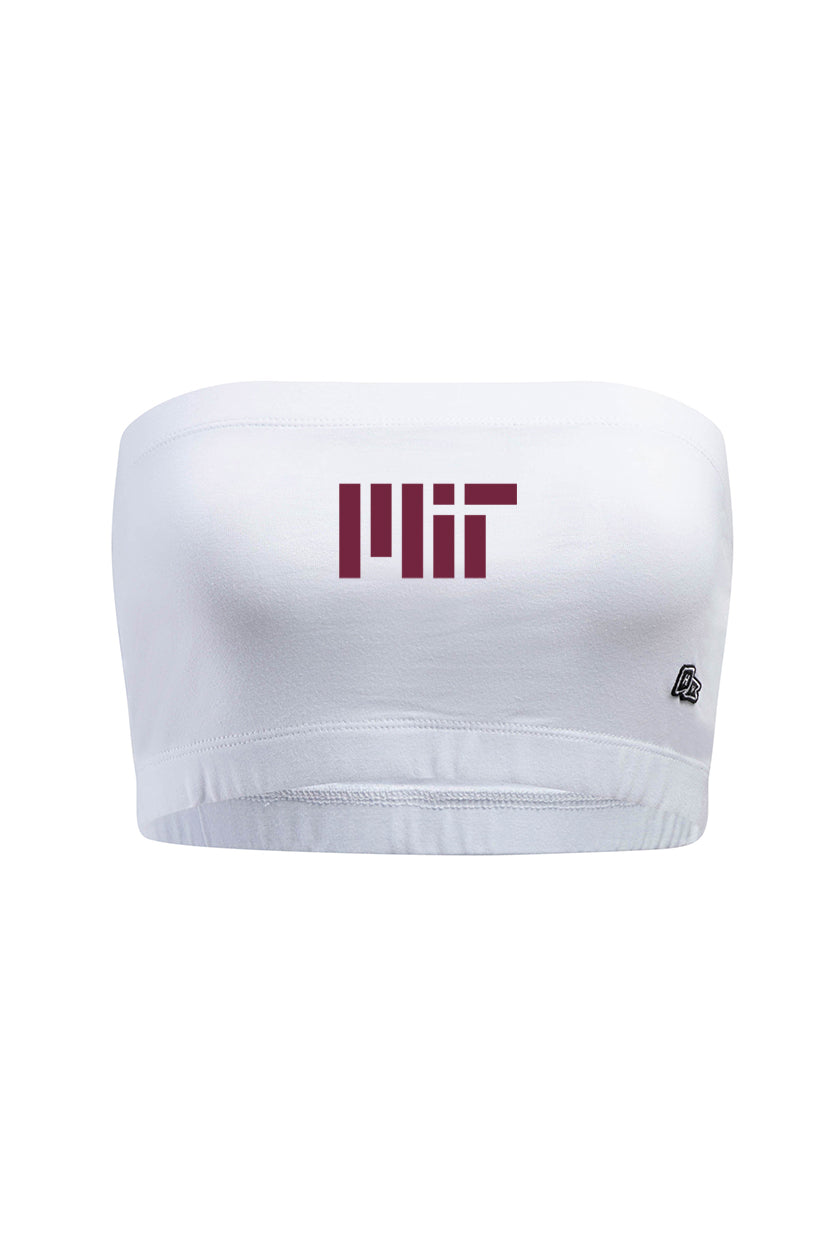 Massachusetts Institute of Technology Bandeau Top