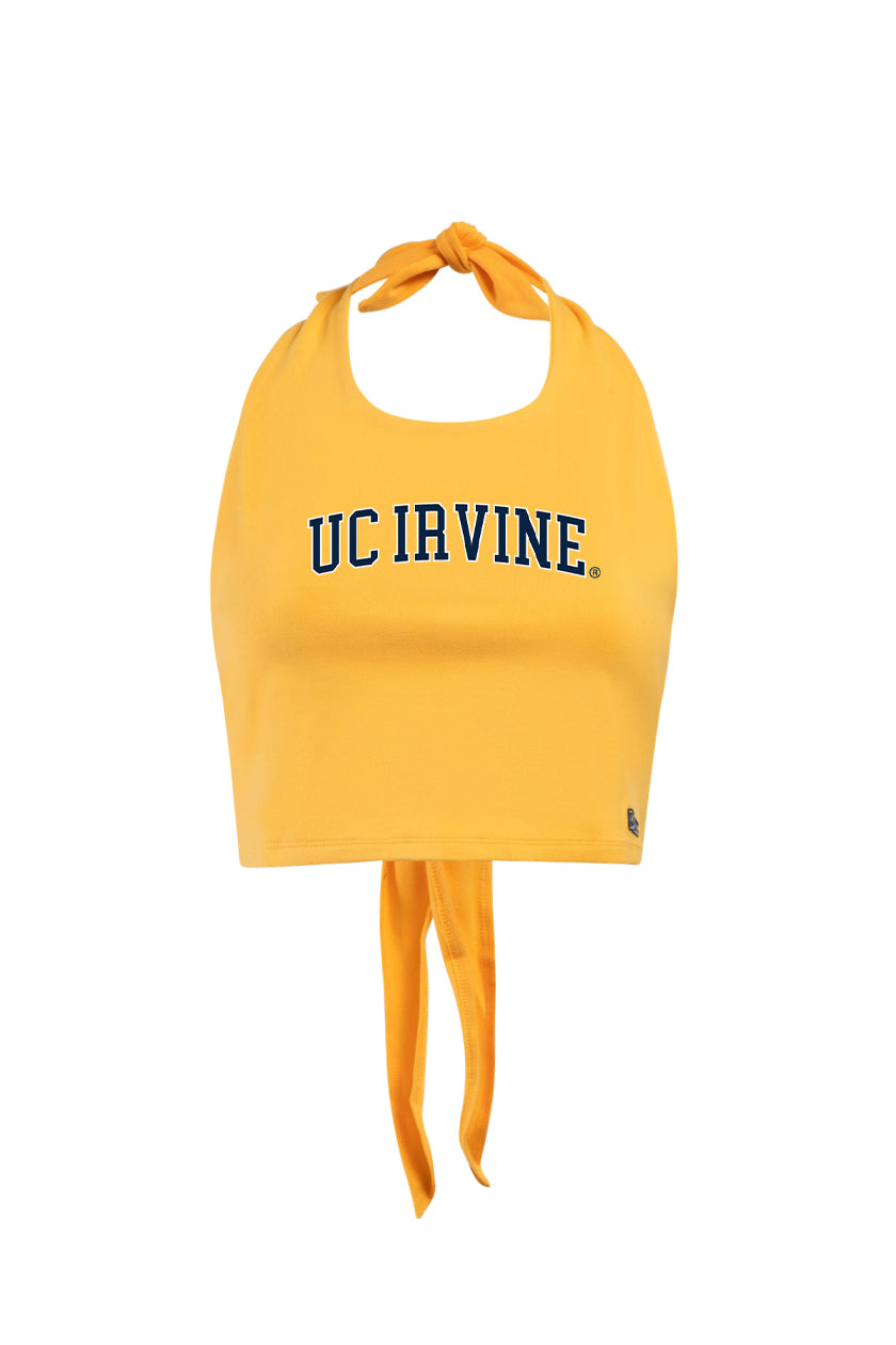 UC Irvine Tailgate Top