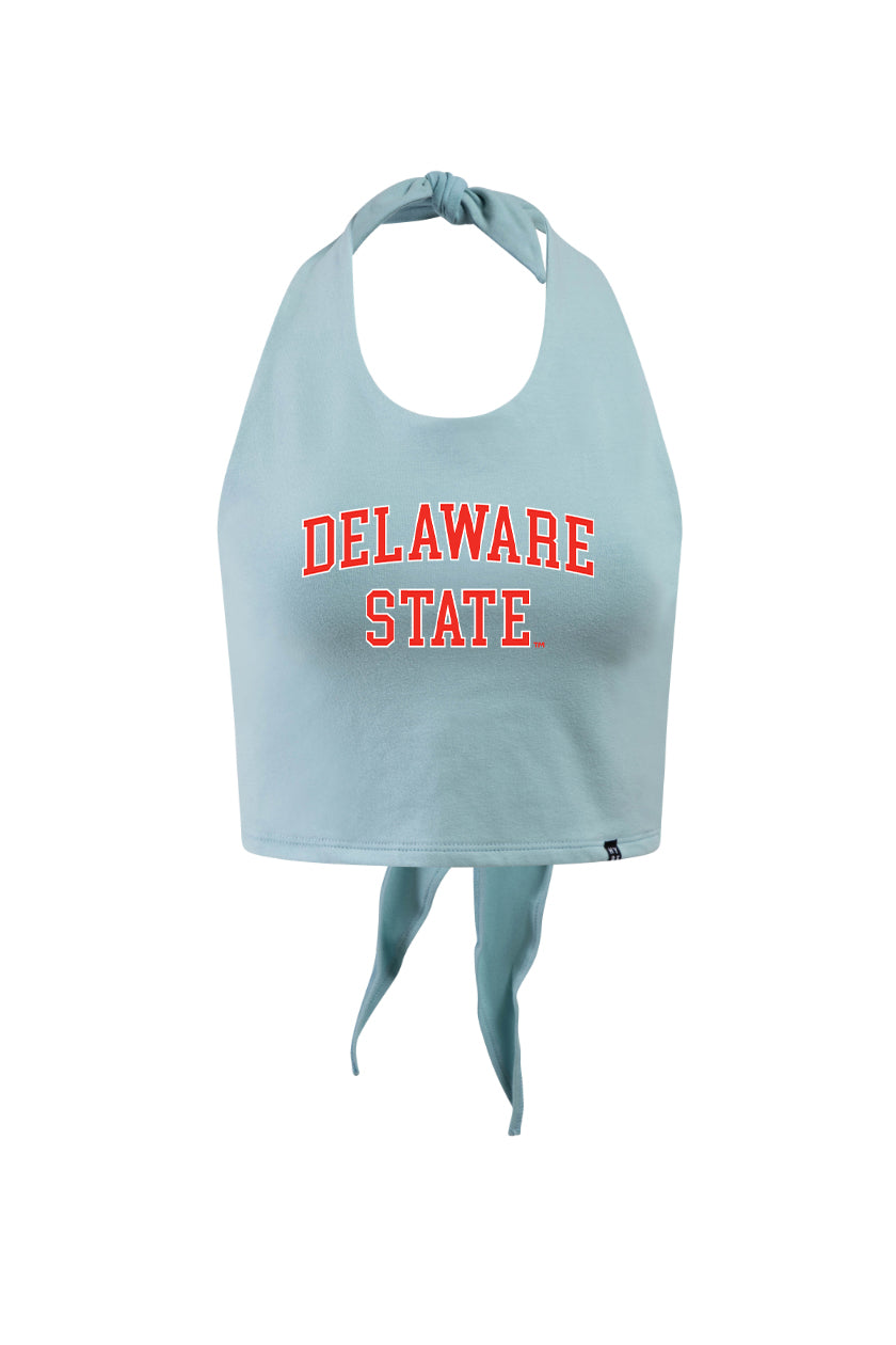 Delaware State Tailgate Top