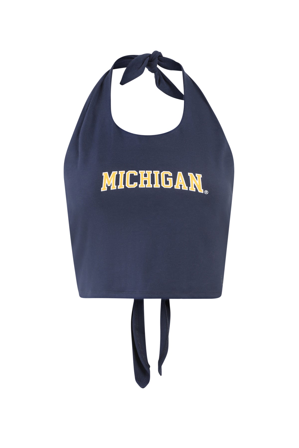 University of Michigan Tailgate Top