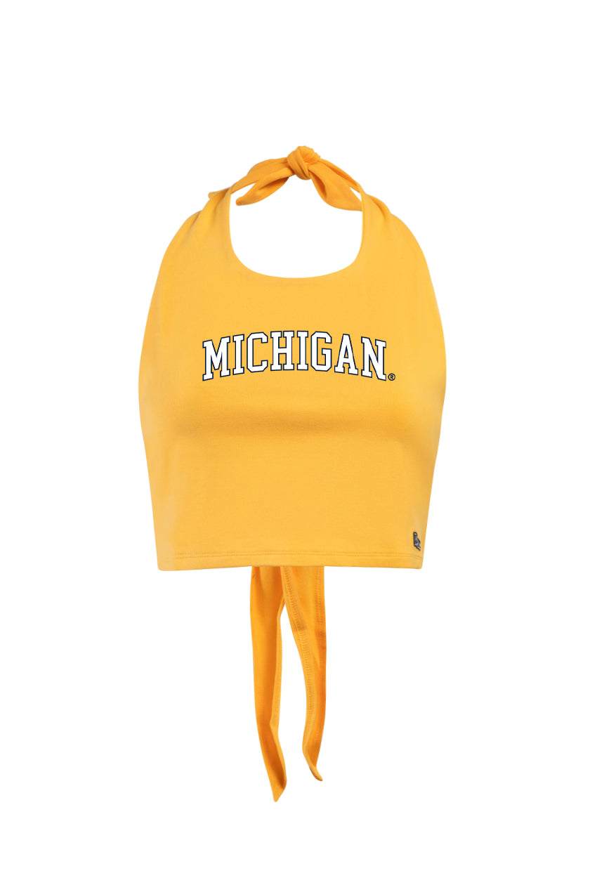 University of Michigan Tailgate Top