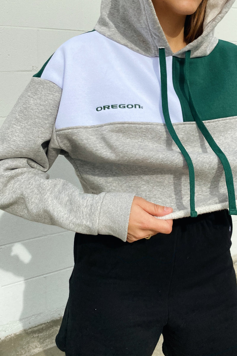 Champion cropped hotsell colorblock hoodie