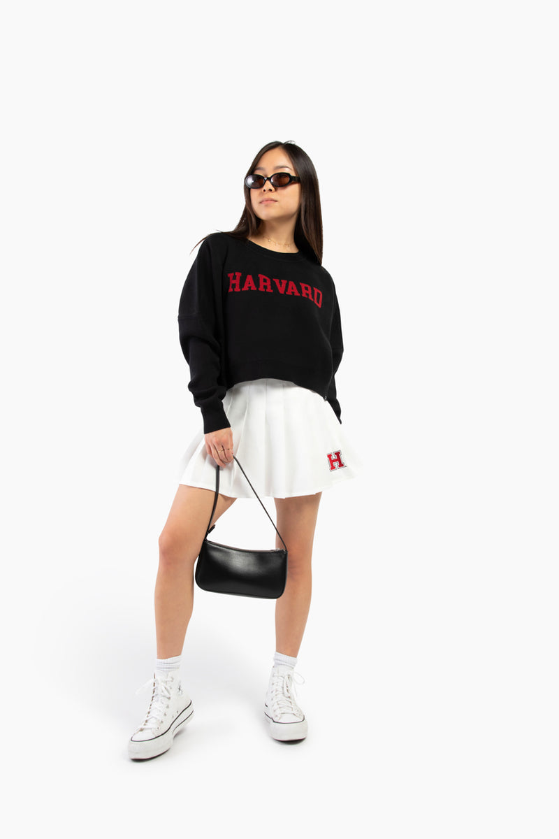 Harvard sweater online girl