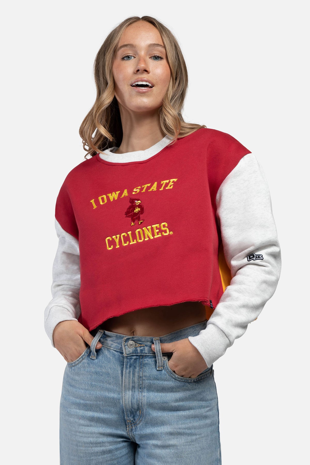 Iowa State University Color-Block Hoodie Medium | Hype and Vice