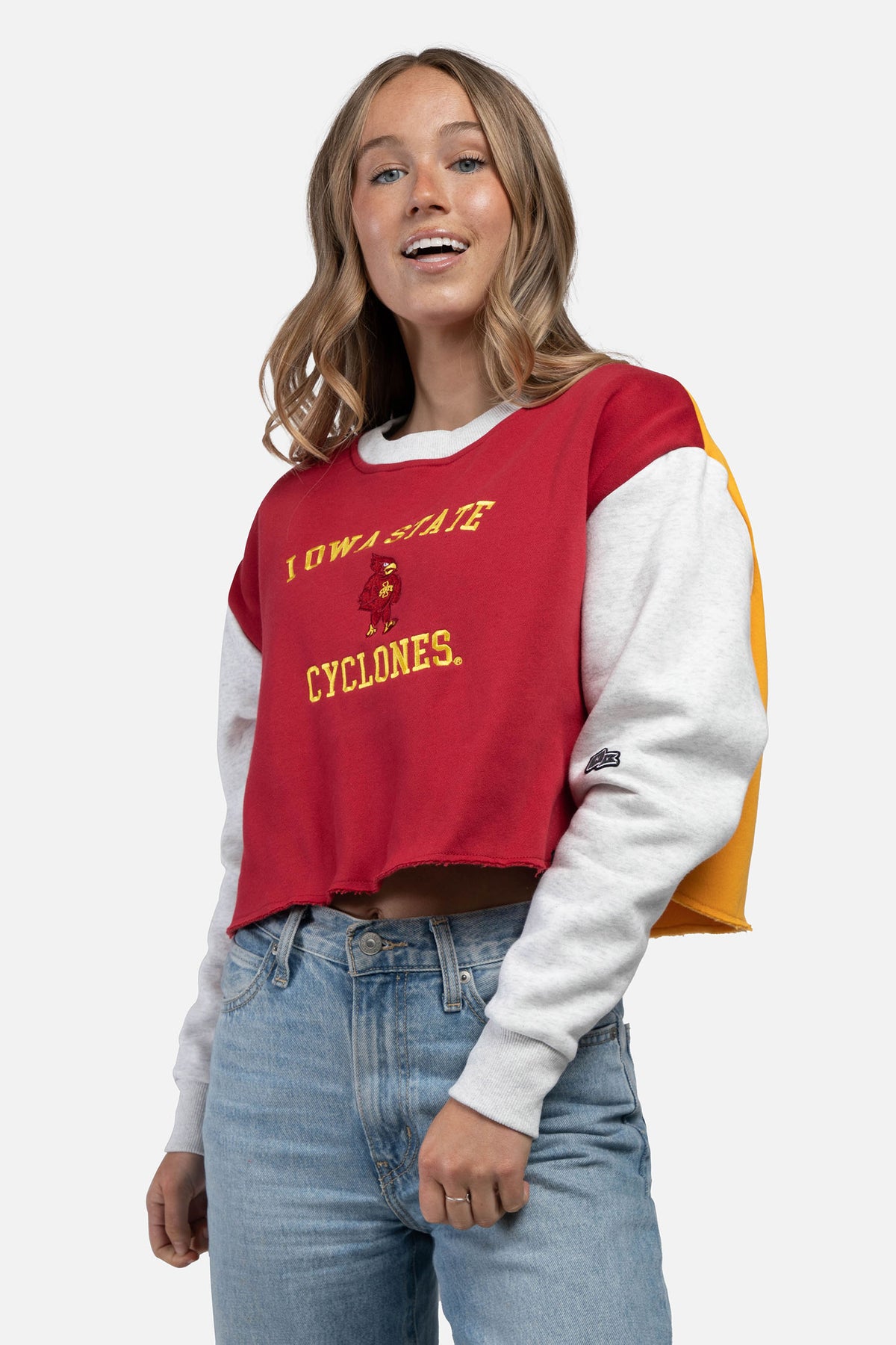 Iowa State University Color-Block Hoodie Medium | Hype and Vice