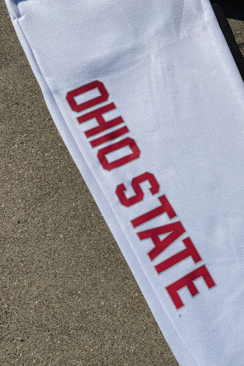 THE OHIO STATE UNIVERSITY SCARF - Brand New, GREAT Gifts!