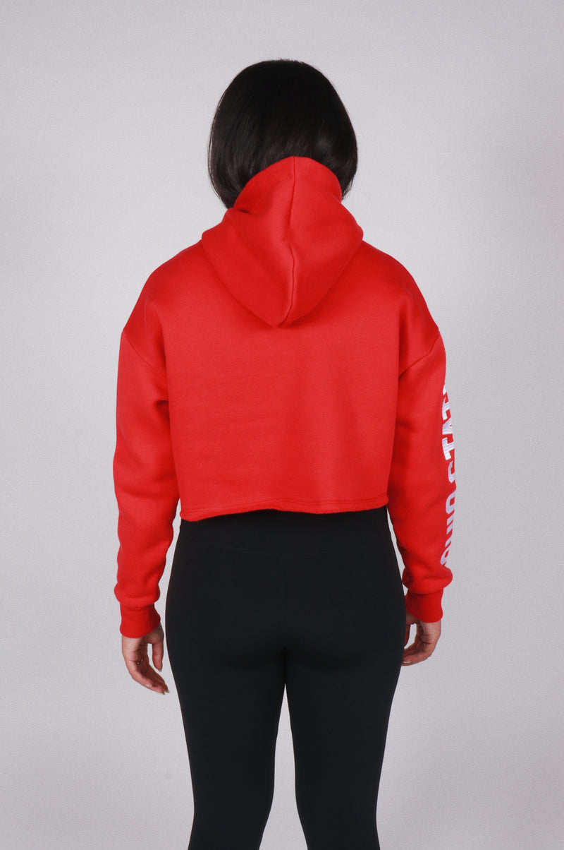 Cropped hot sale hoodie h&m